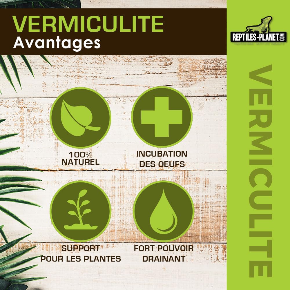 Reptiles Planet Vermiculite Substrat d'Incubation pour Reptiles 0,3-4 mm 6 Litres