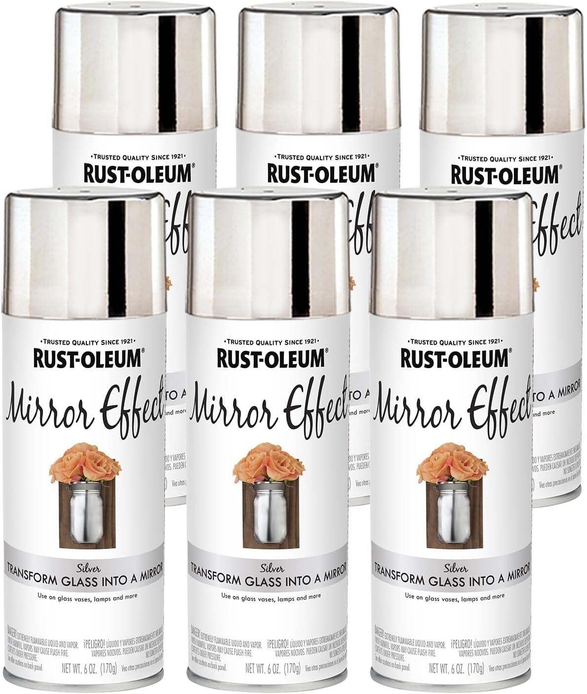 Rust-Oleum 301494-6PK Specialty Mirror Spray, Silver, 6 Ounce (Pack of 6)