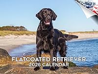 Vista 23 de Razas de Perros 2017