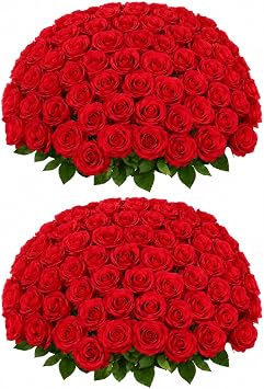 50 PCS Red Roses Artificial Flowers, Fake Red Rose Bouquet, Artificial Silk Red Roses with Stems for DIY Wedding Flowers Decoration, Valentines Day Mothers Day, Bridal Bouquet Roses
