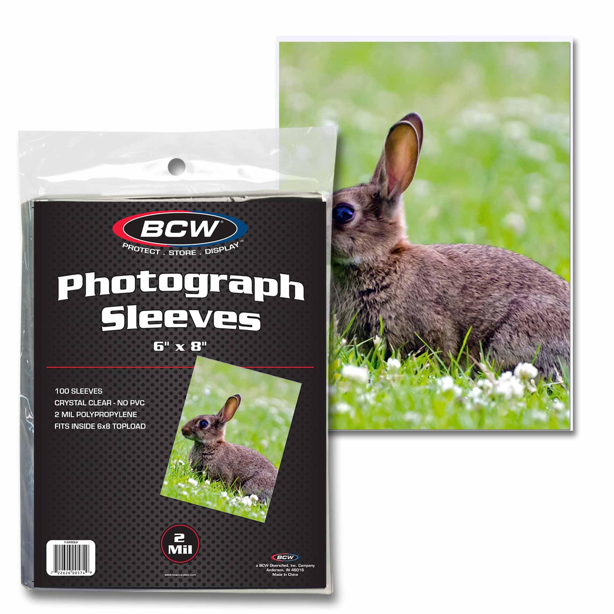 BCW6x8 Photo Sleeves - 100 Pack | Archival Photo Sleeves for Art, Postcards & Photos | Acid-Free, No PVC | Archival Quality for Storage & Display
