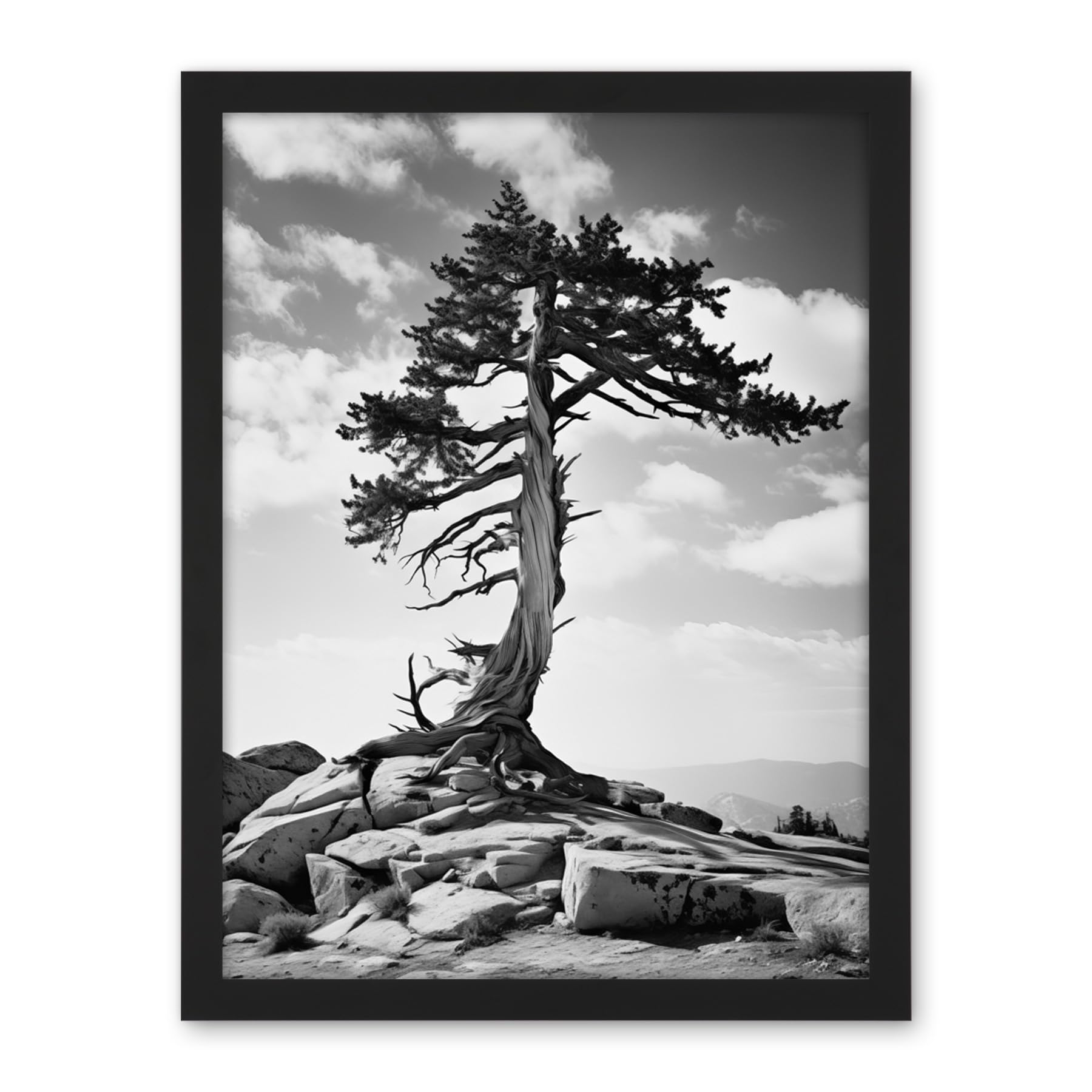 Artery8 Weathered Jeffrey Pine Standing on a Rocky Hill Black and White Photograph Lone Tree Artwork Framed Wall Art Print 18X24 Inch