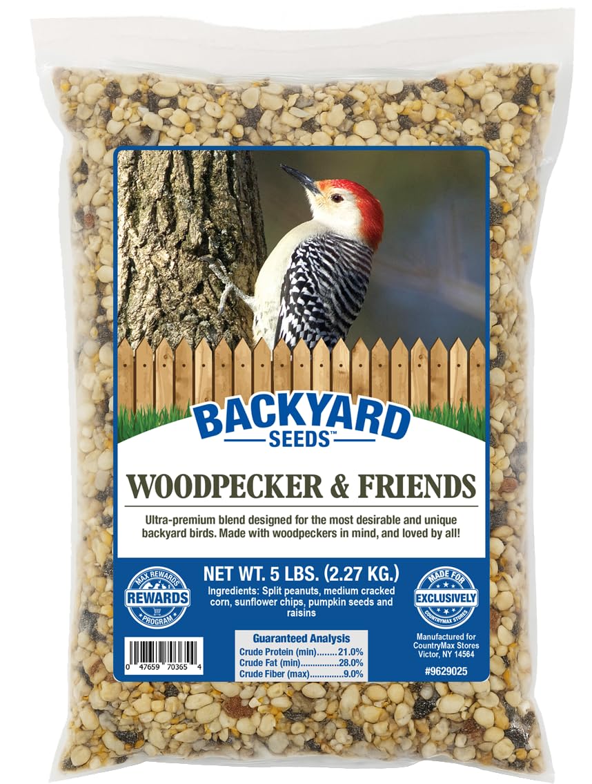 CountryMax Backyard Seeds Woodpecker No Waste Bird Seed Mix – 5 lb Bag | Shelled Peanuts, Sunflower Chips, Tree Nuts | Attracts Woodpeckers, Nuthatches, Jays