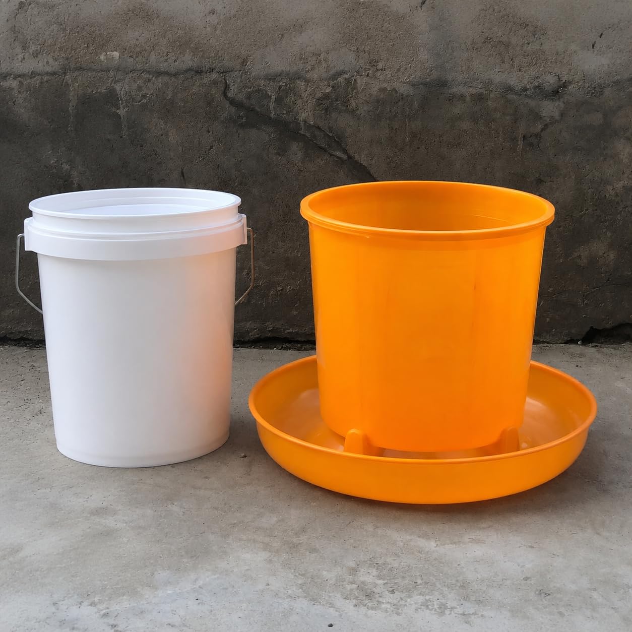 Mangiatoia Automatica per, 20kg di Capacità, in Plastica Resistente, 20 chilogrammi secchio di alimentazione ispessito