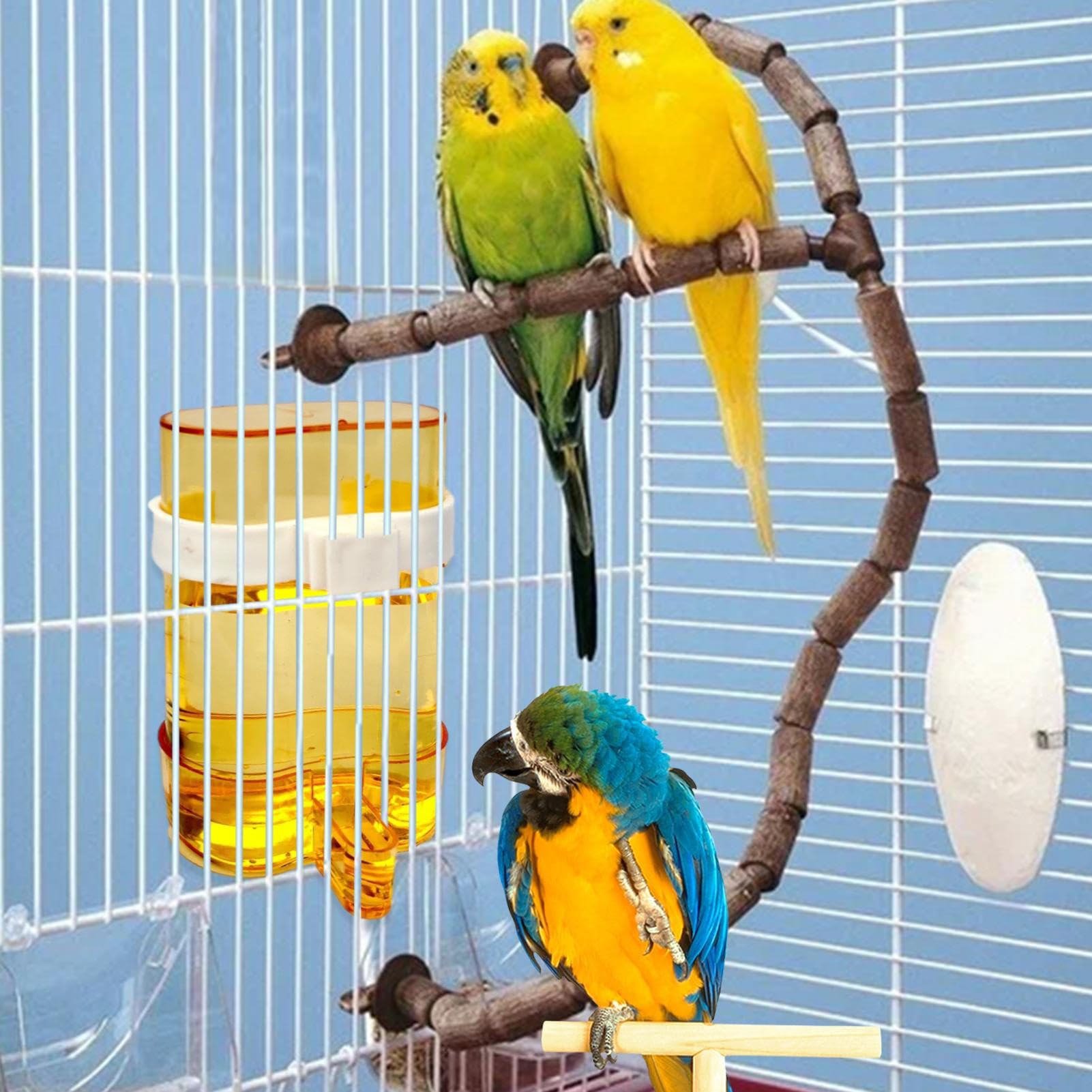 Distributore di Acqua per Uccelli, igienico, Trasparente, Automatico, 200 ml, per Pappagalli, Fringuelli, Calopsiti