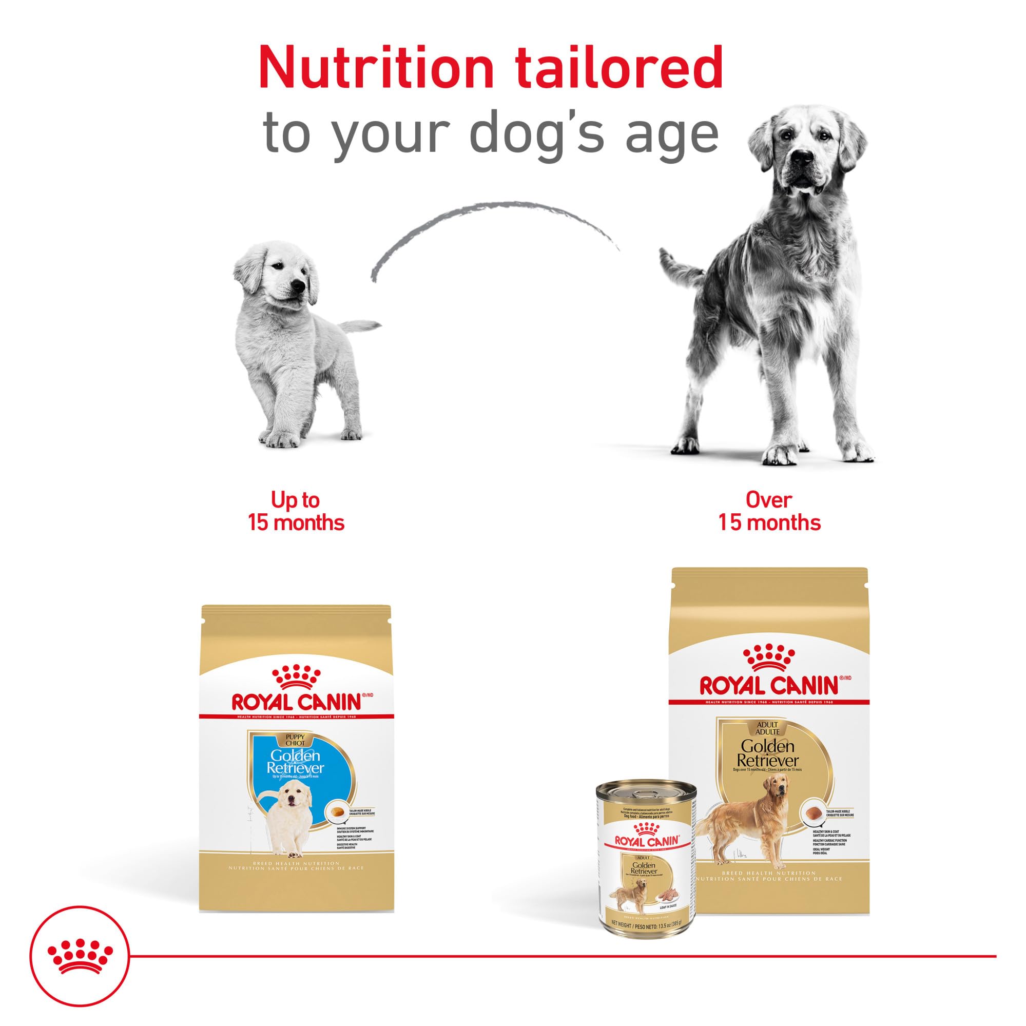 Amazon.com: Royal Canin Breed Health Nutrition Golden Retriever