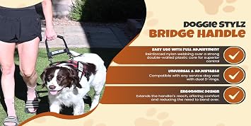 Dog Bridge Handle + Service Dog Patches
