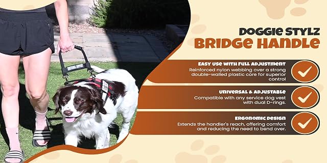 Foto 5 de 7 de Doggie Stylz Service Dog - Arnés para Perro con asa de Puente - Accesorios duraderos para Perros