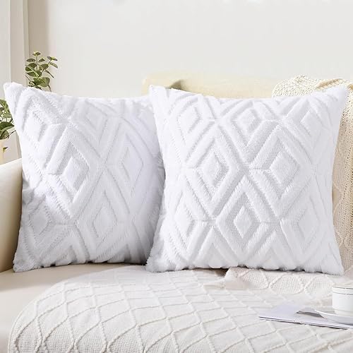 Juego de 2 fundas de almohada suaves de piel sintética de 20 x 20 pulgadas  20.0 x 20.0 in., fundas decorativas de felpa de terciopelo de lana corta