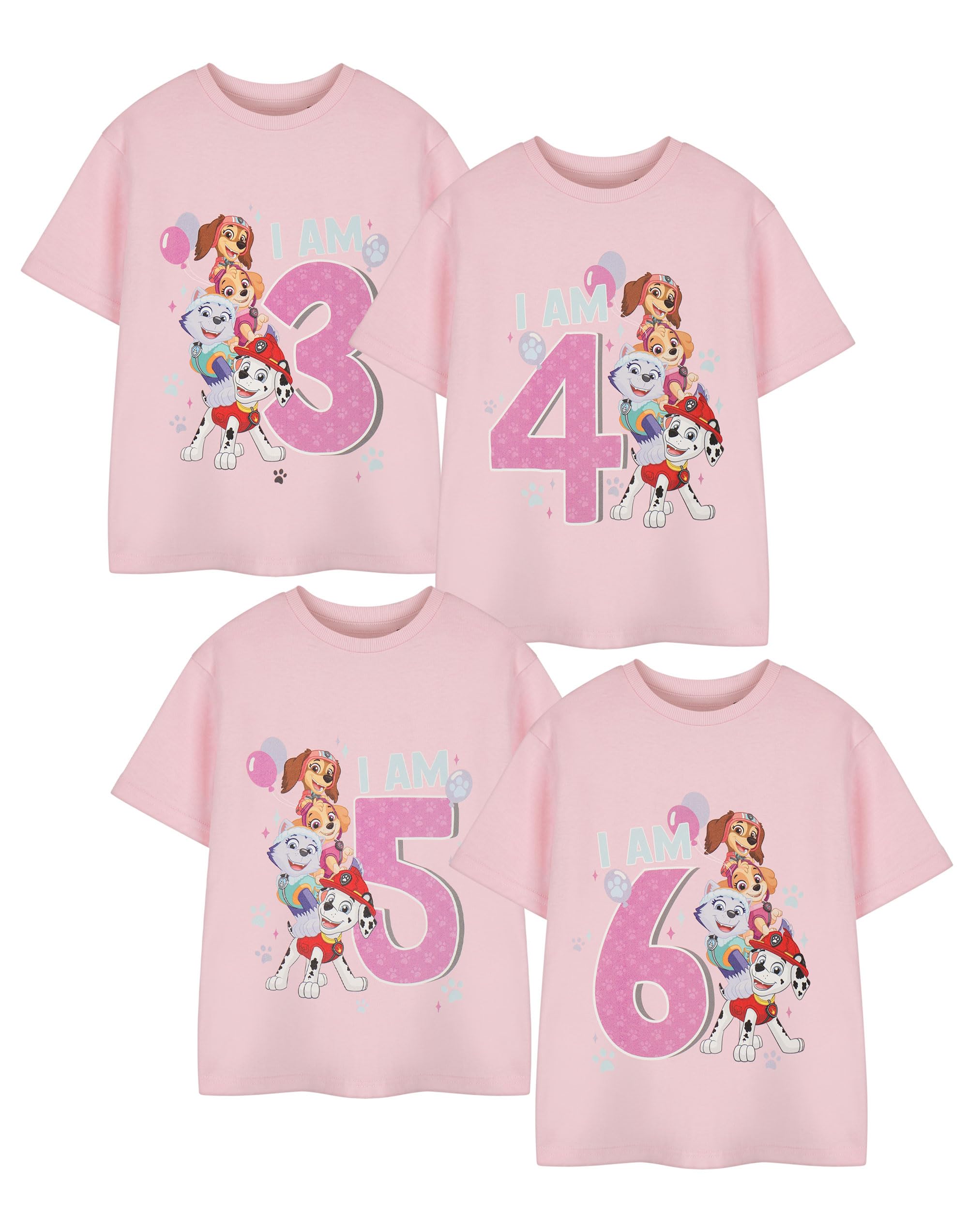 Paw Patrol Girls Pink - Birthday Age Four Pink Birthday Age T-Shirt | Short-Sleeved Graphic Tee For Kids | Skye Chase Marshall Rubble Characters Gift | Children's Cartoon Apparel For & Toddlers
