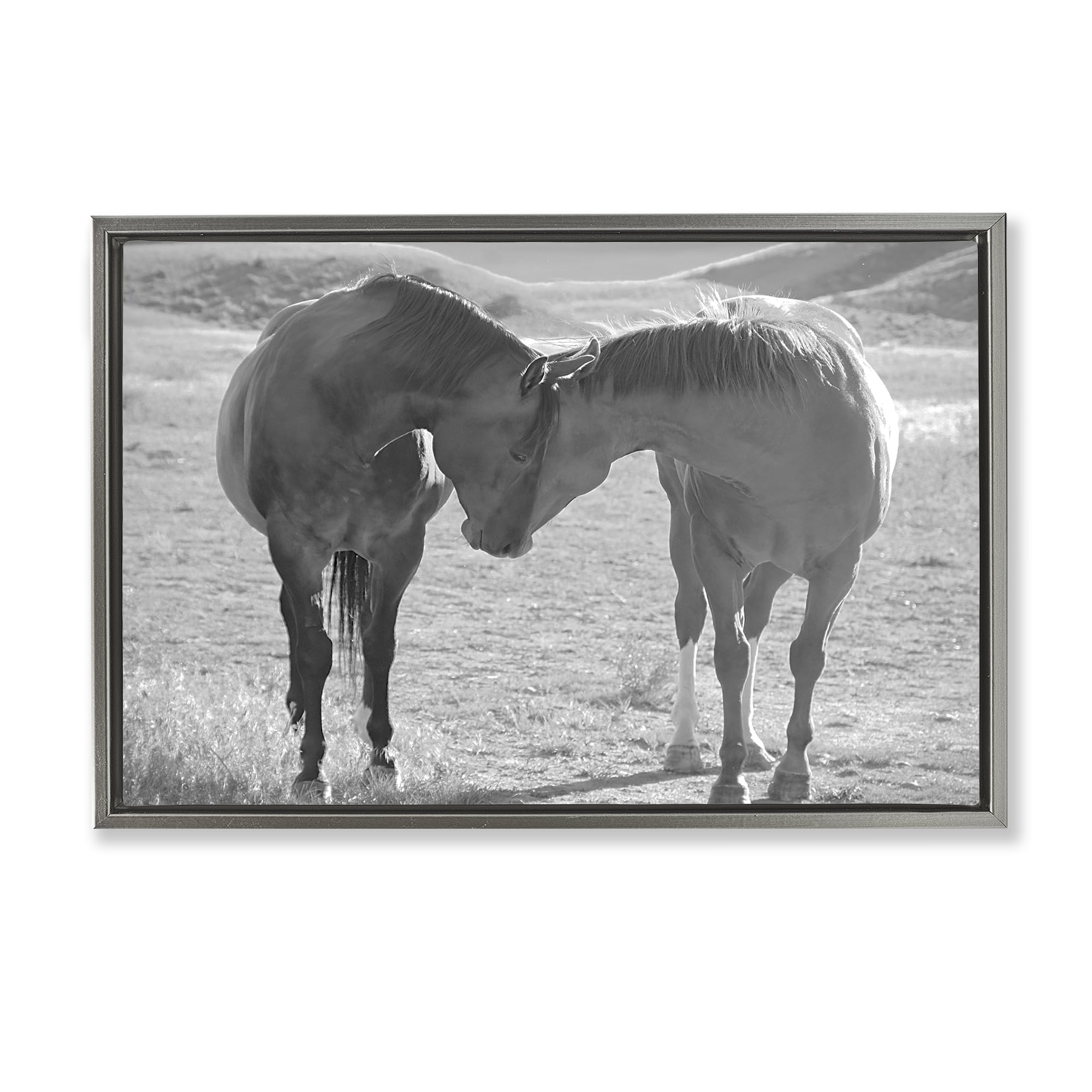 Stupell Industries Luster Gray (Matte) 'Sweet Nothings Bond Between Horses'| Floating Frame Canvas Art