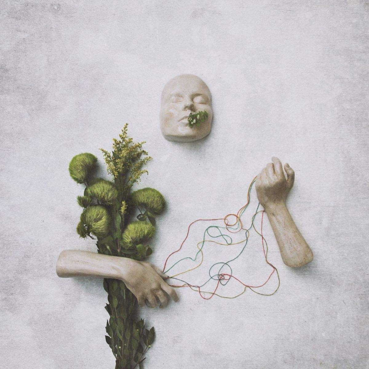 Red Steppes A Mouth May Grow [NEW & SEALED] 12"" Vinyl