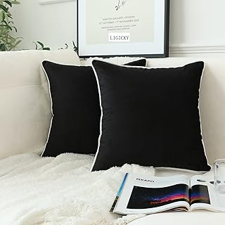 LIGICKY Set of 2 Black Velvet Throw Pillow Covers Modern Minimalist Styl...