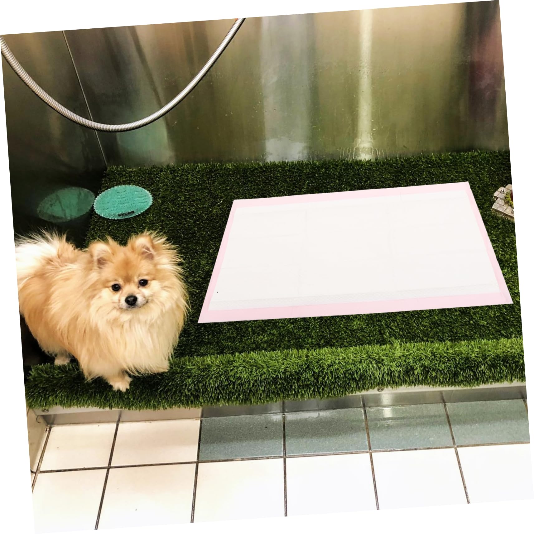UPKOCH 25 Pezzi Tappetini Igienici Assorbenti per Animali Impermeabili Addestramento Animali Domestici