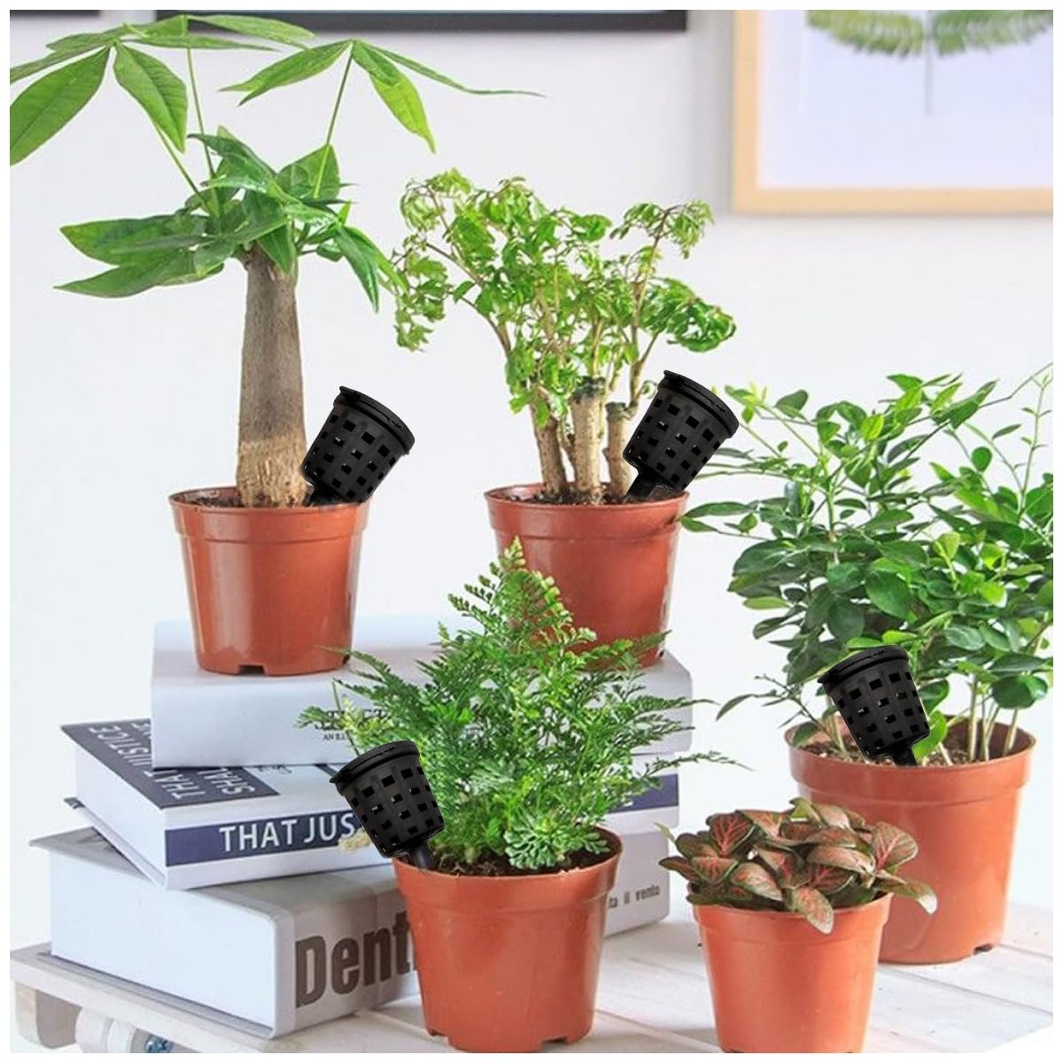 Hemoton Rete Per Vasi Da Fiori E Bonsai – 50 Pezzi Da 5x5 Cm, Griglie In Plastica Per Drenaggio, Anti-Terriccio - 6