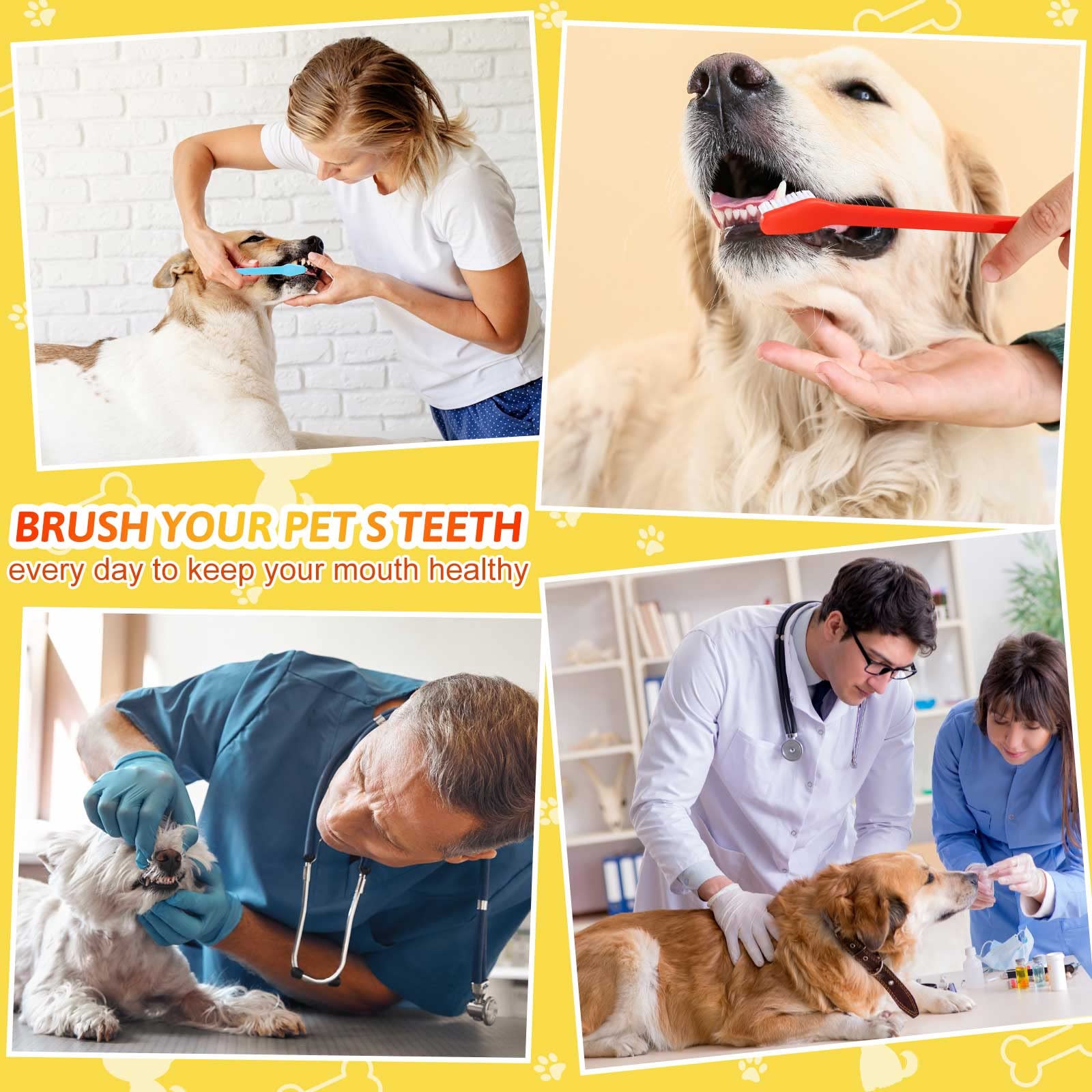 300 Pcs Pet Toothbrush Bulk Dog Double Sided Brushes Puppy Tooth Brushing Kit Soft Bristles Long Handle Dog Tooth Brush for Small Dog Cat Puppy Teeth Cleaning Oral Dental Care Supplies (10 Colors) 4
