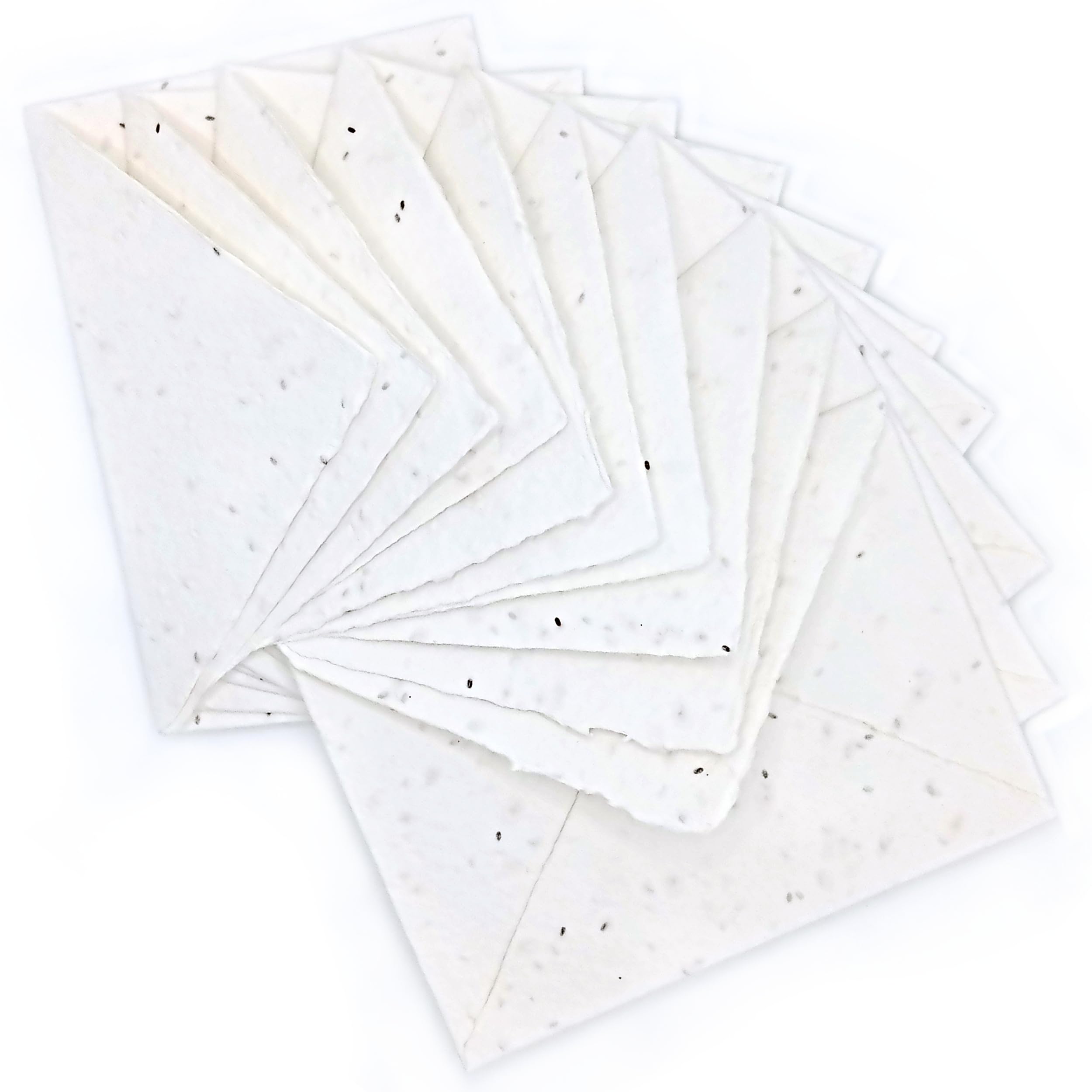 Biglietti di Auguri e Buste Piantabili per ogni occasione, come Nascita, Compleanno, Laurea, Matrimonio, 300 g/m2, Confezione da 10, Made in Italy (Con Semi di Lavanda)