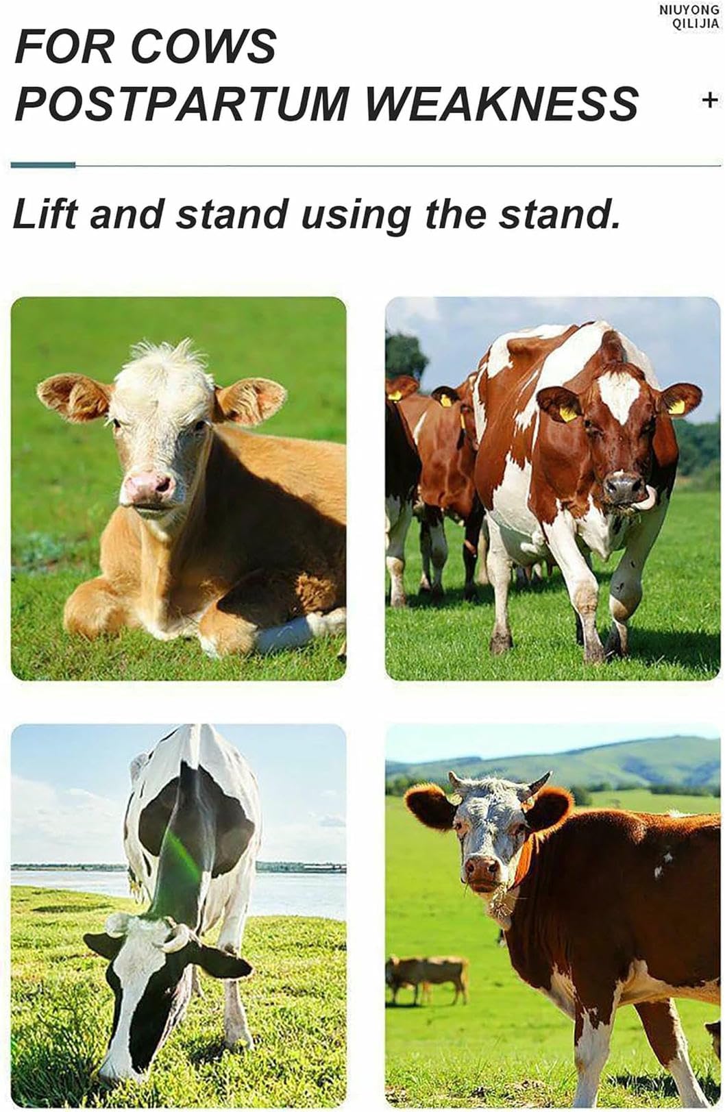 Sollevamento regolabile dell'anca della mucca, morsetto di sollevamento del bestiame in acciaio, strumento di assistenza in piedi per distocia post-parto, supporto per la mucca febbre tifoide grave