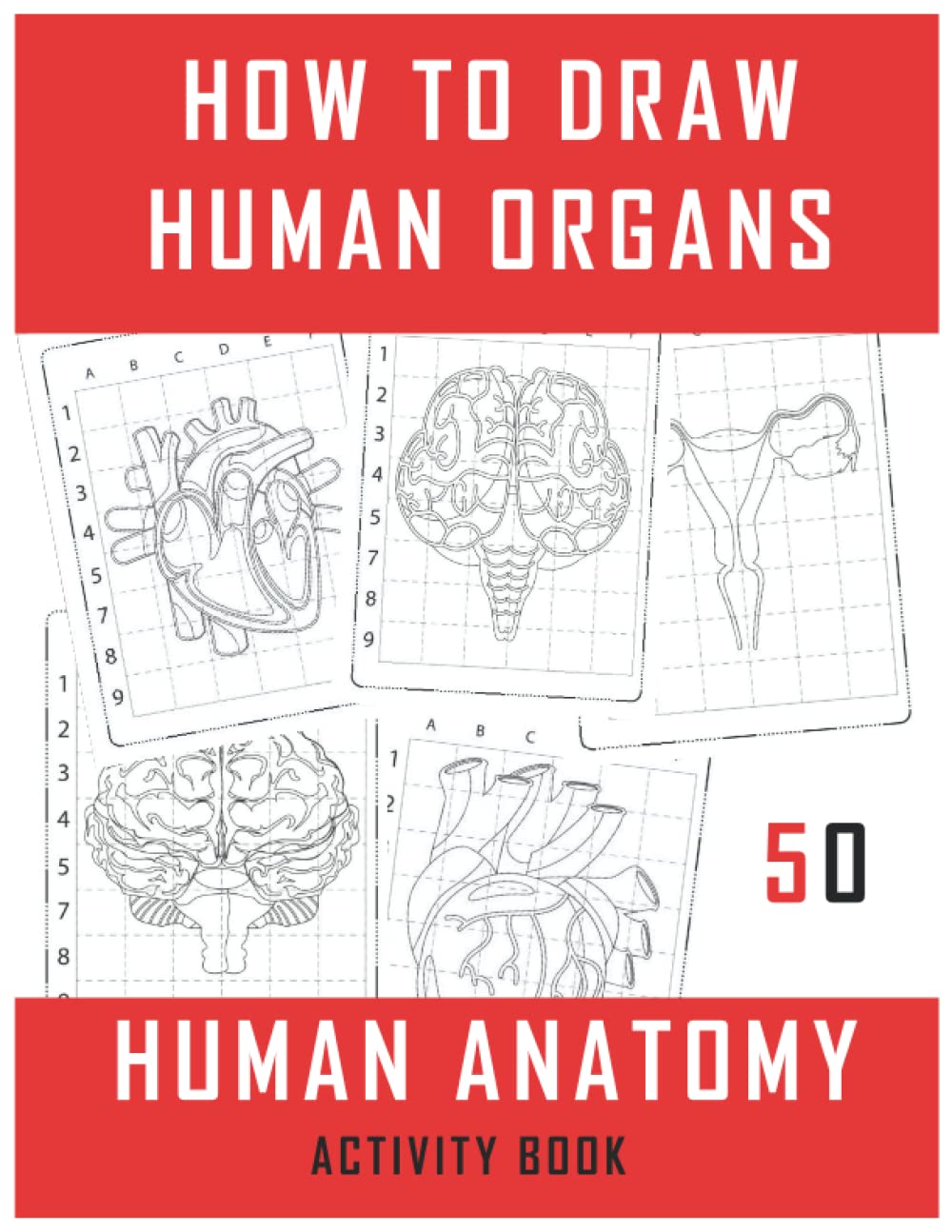 How To Draw Human Body Organs - Human Body Anatomy Drawing and Coloring Book: Adult Activity Book