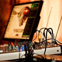 Vista 5 de J&D Cable adaptador auxiliar de interconexión de audio TS mono USB-C a 0.250 in de 1/4 pulgadas, compatible con iPhone 16/17 Series, Galaxy S24/S25