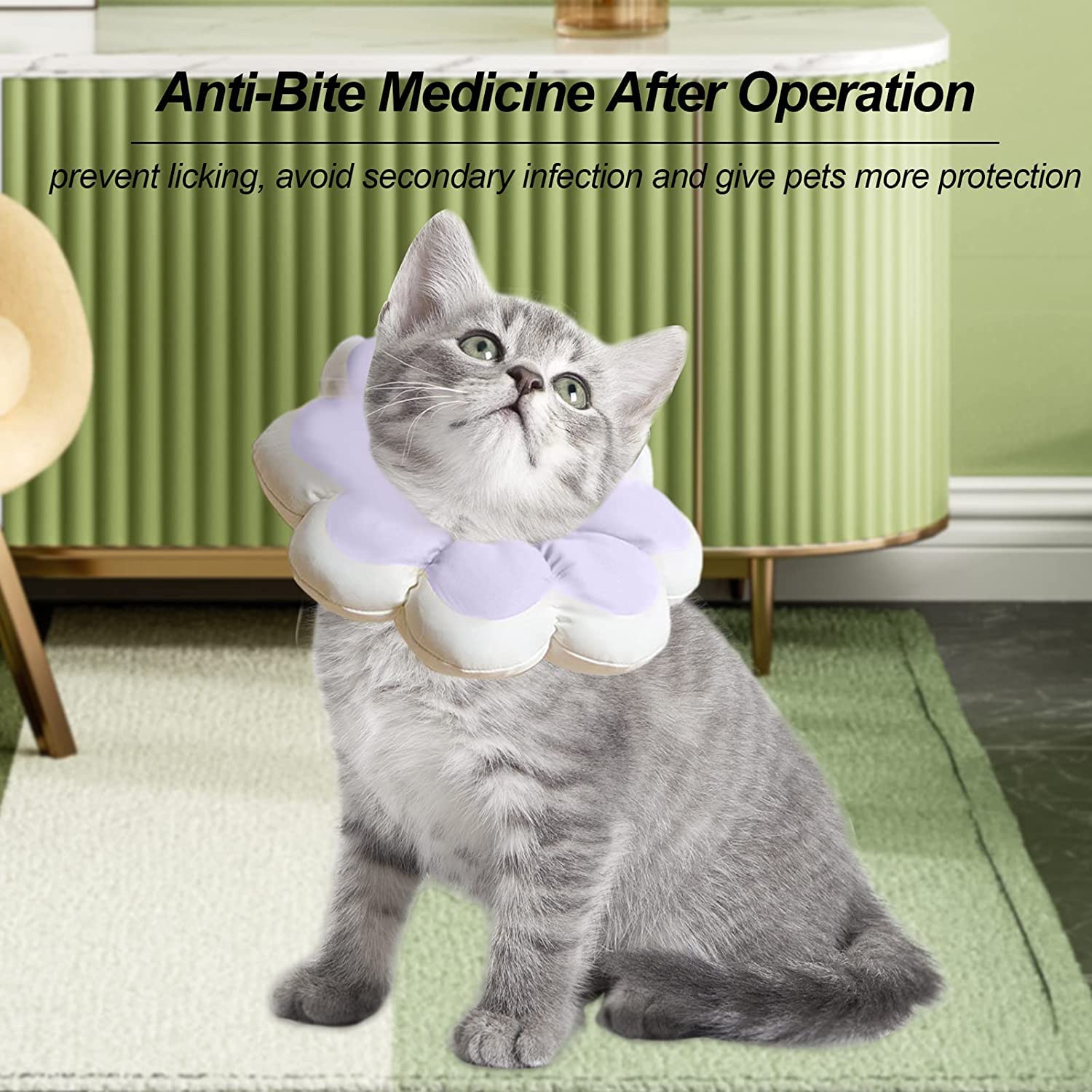 Amazon.co.jp: 猫の首枕 | ソフト軽量コットンペット回復首輪 - 写真  