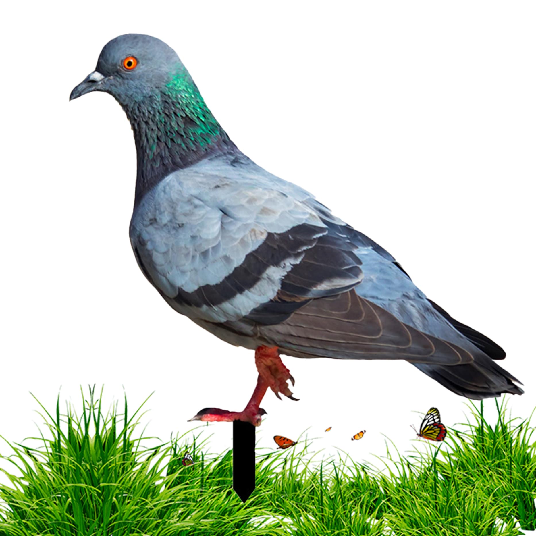 Hperu Pigeon Statues,Garden Ornaments Pigeon Acrylic Yard Decor Type B Poultry Metal Stake Rust-Resistant Garden Decor Yard Art Floor Stakes for Backyard Lawn for Home