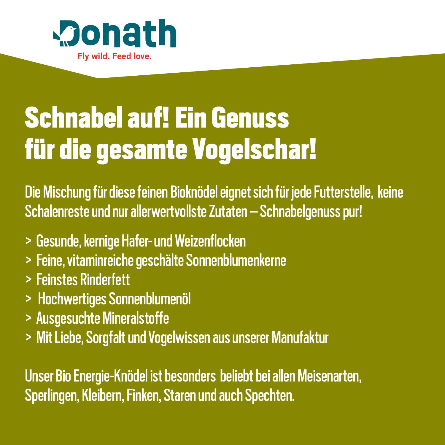 Donath gnocco BIO per cince, sbucciato, senza rete, 100g l’uno – pregiato cibo per uccelli selvatici adatto tutto l’anno - dalla nostra manifattura nel sud della Germania