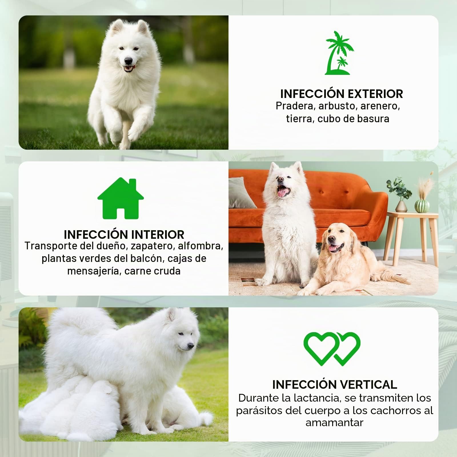 Comprimidos para la prevención de pulgas y garrapatas para perros, 150 piezas Suplemento de control de pulgas y garrapatas para perros - Pastillas orales suaves para pulgas para perros - Tratamiento