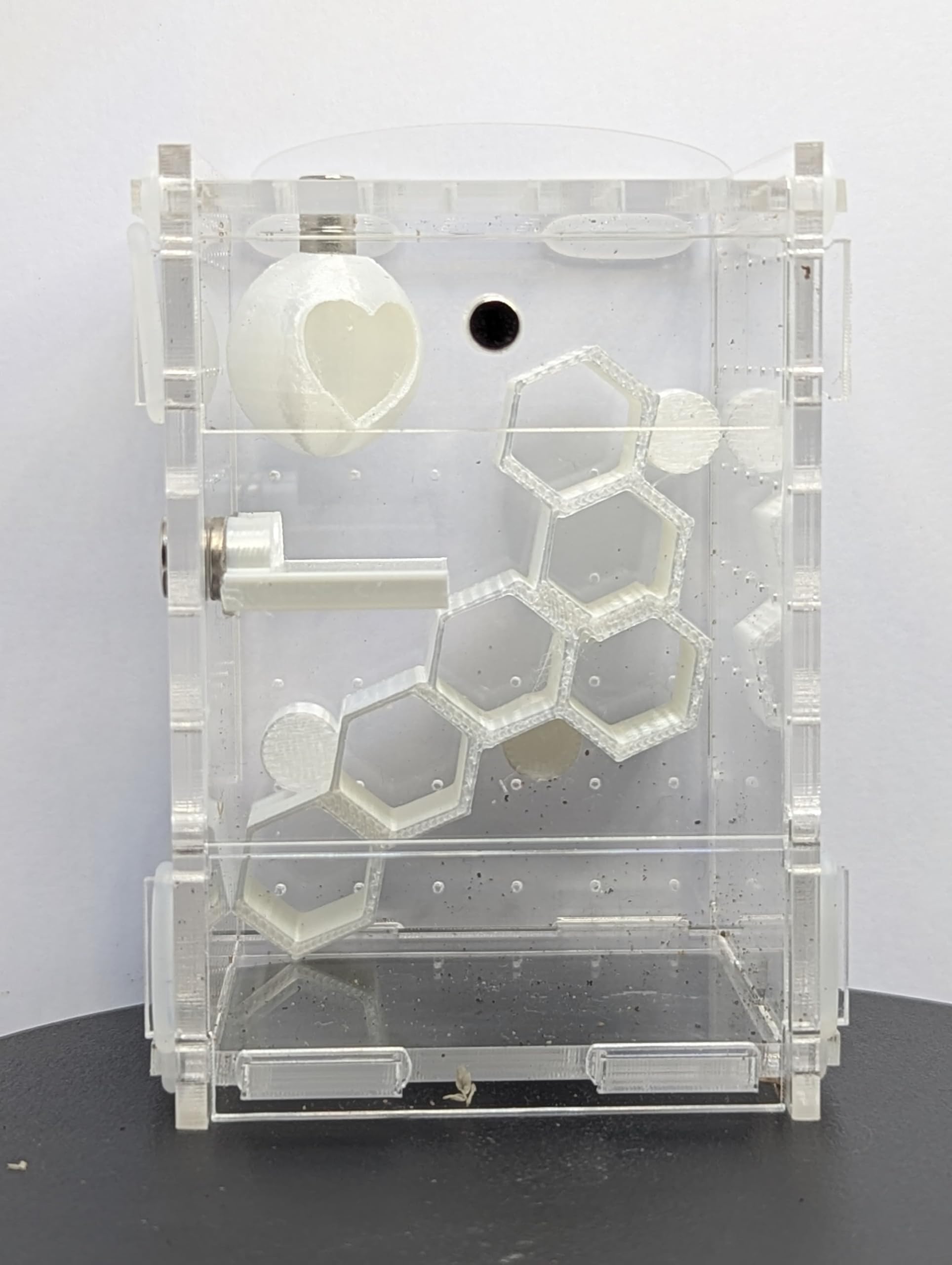 Jumping Spider Enclosure Full Setup with Decor included! Suitable for slings, pet spider, front opening, very secure 6cm X 6cm X 9cm Kit 360 Viewing (Gold) — view 7