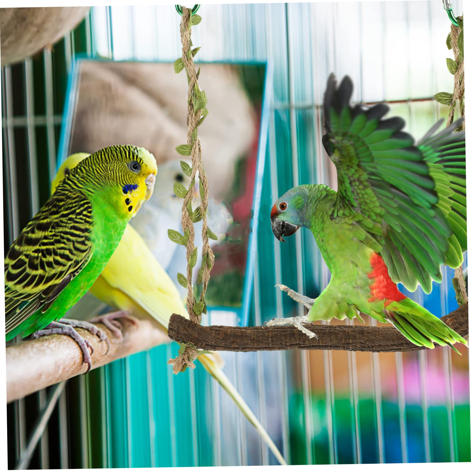 Happyyami 5stücke Vogelschaukel Für Papageien Und Sittiche Interaktives Spielzeug Für Käfigvögel Fördert Spiel Und Training Material Für Stundenlangen Spaß