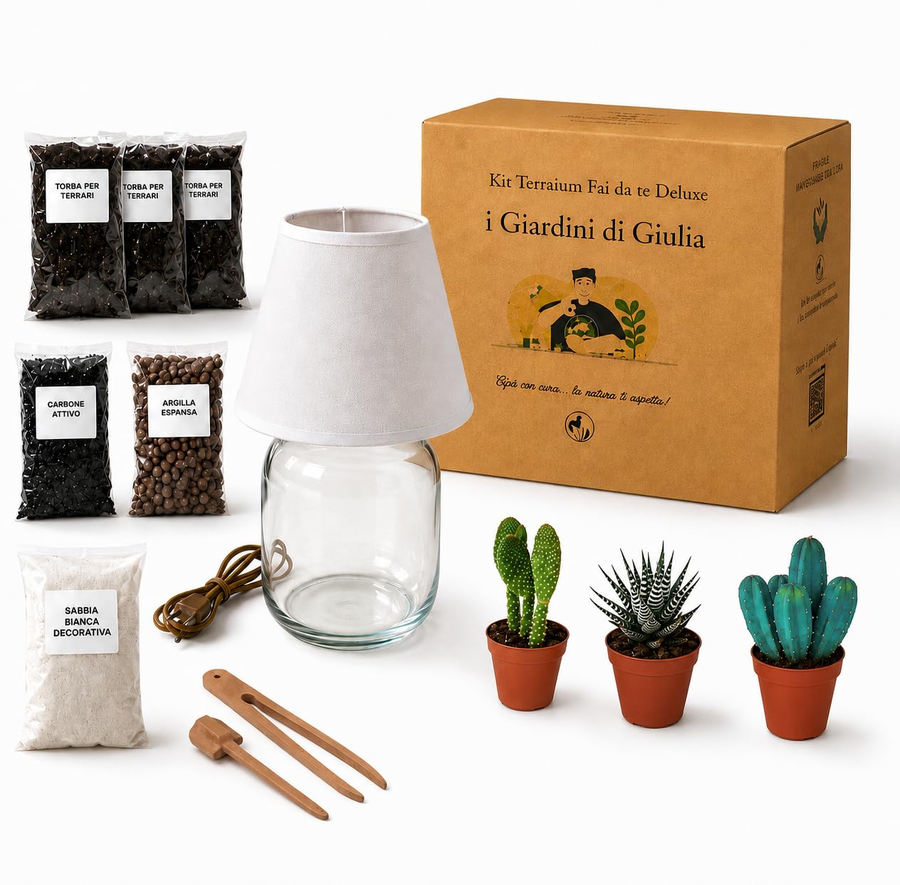 Kit Terrarium Lamparium Medio con Piante Grasse | Vaso in Vetro Ø22 cm con Paralume Incluso | Include Substrati,Accessori e Terrario Fai-da-Te
