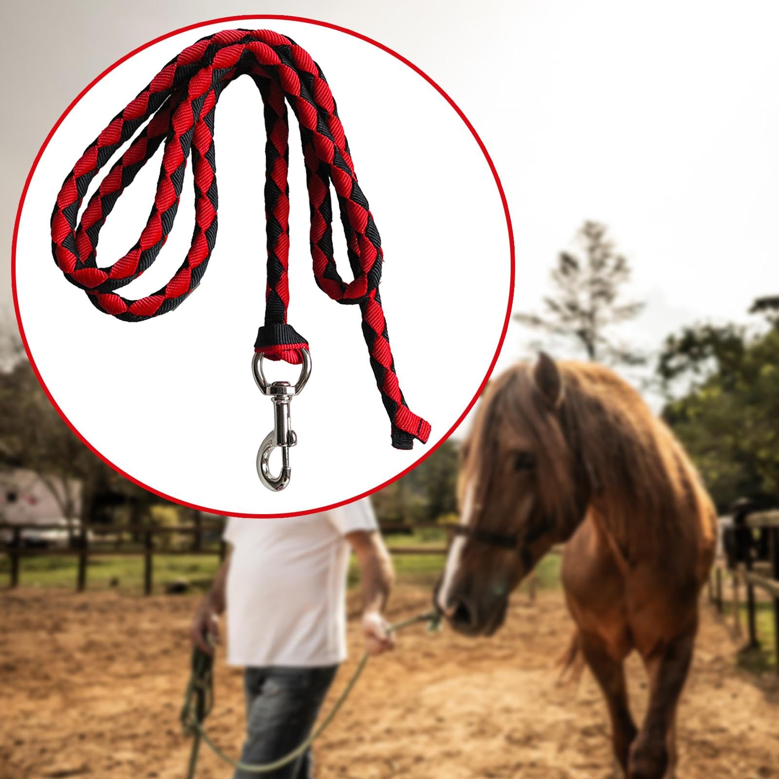 Correa de Caballo, Correa de Caballo Trenzada, para Sujetar Al Cabestro O Al Arnés, Cordón de Correa de Caballo con Clip de Presión, Cuerda de Correa