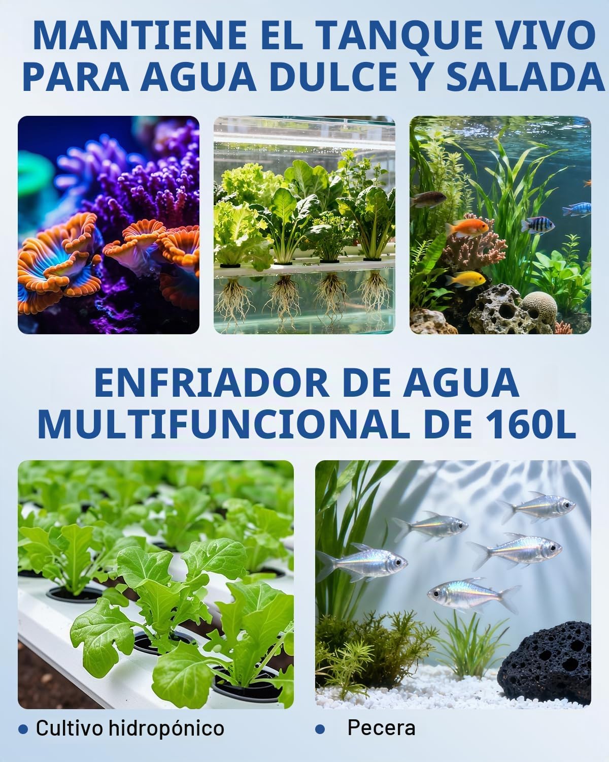 BAOSHISHAN 160L Acuario Enfriador de agua Enfriador Kit de bomba adicional Enfriador de tanque de pescado Equipo de cultivo de mariscos 220V (Unidad de temperatura del agua: ℃)