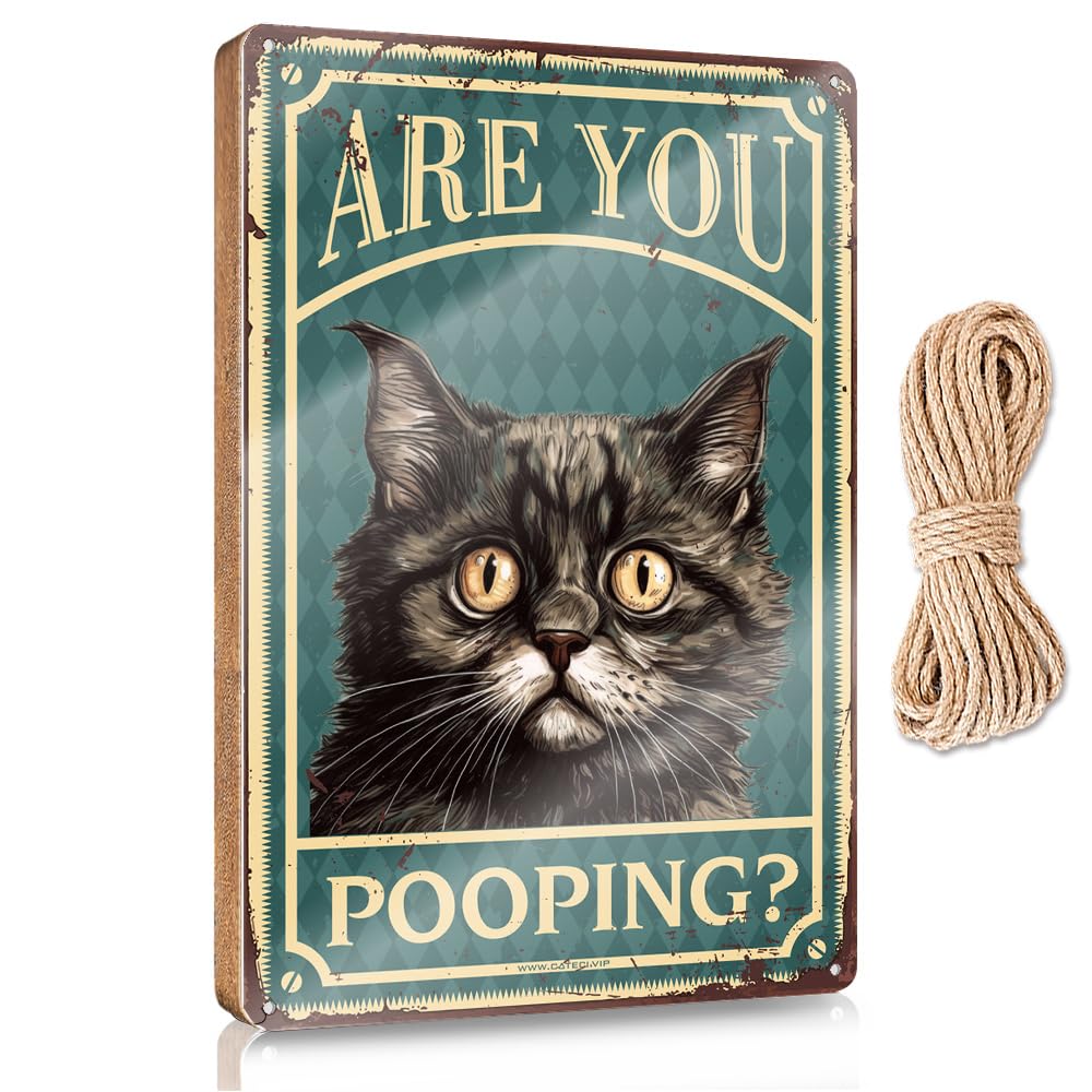 MAHQPZXSF Home Door Hanging Are You Pooping Wooden Sign Funny Bathroom Decor Room Decor For Men(23X35CM)