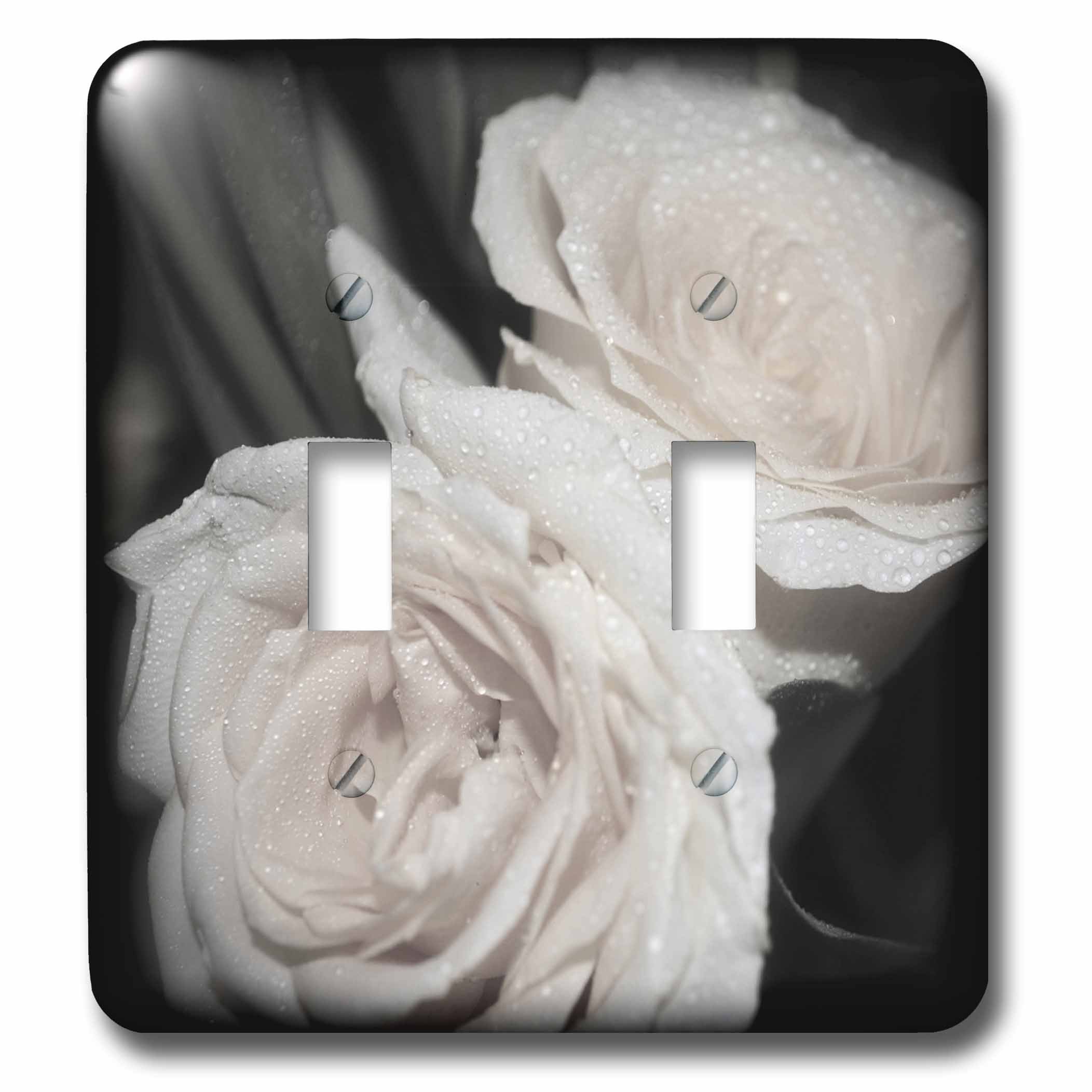 Interruptor doble de fotos de rosas antiguas para sustituir placas viejas