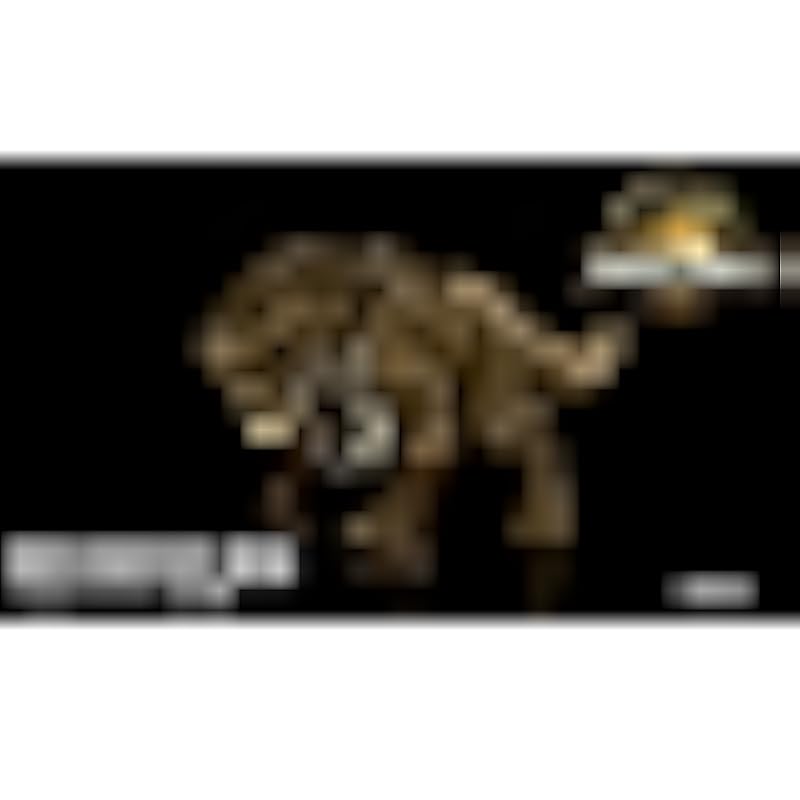 Mattel Jurassic World Battle Action! 껍질 Distortus Rex 어린이 그림 공룡 장난감 총 길이 : 약. 4 세부터 50cm Brown JGB58 상세이미지 7
