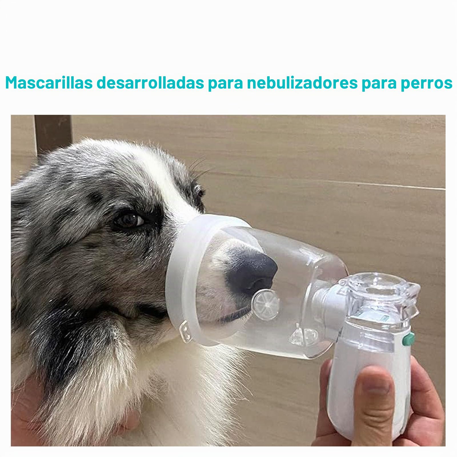 Nebulizador para Perros, nebulizador para Perros y mascarilla de inhalación, silencioso, Apto para Perros, Verde (M)