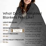 HomeSmart Weighted Blanket, King Size, 50lbs, 88x104, Black | Extra Heavy, Fits Standard and California King Beds