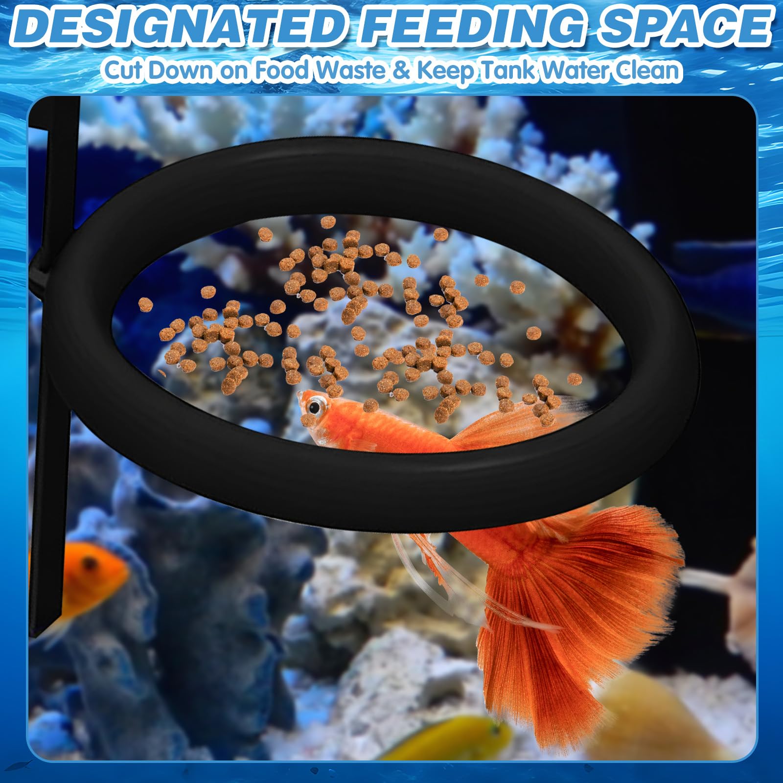 Anello galleggiante per l'alimentazione dei pesci da acquario, con clip di fissaggio, non disperde il cibo, adatto per vetri da 3 a 15 mm, mantiene il cibo galleggiante in posizione, ideale per pesci