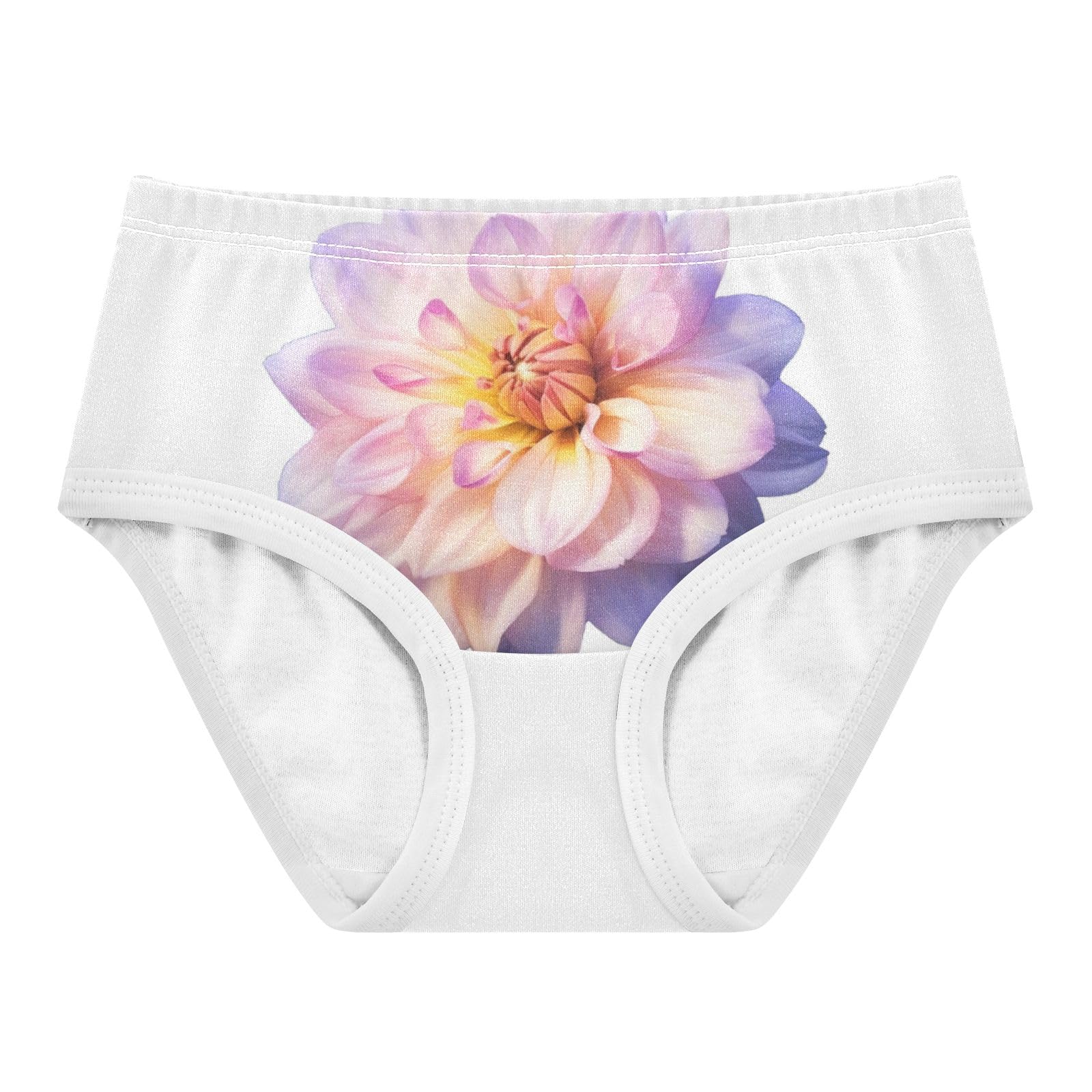 ALAZA Toddler Girls Cotton Hipster Underwear Soft Chrysanthemum 2 Pack 2T