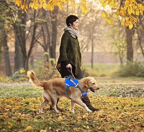 Miniatura 10 de LMOBXEVL Arnés para perro de servicio, arnés sin tirones con asa ajustable reflectante para perro en chaleco de entrenamiento, fácil control para