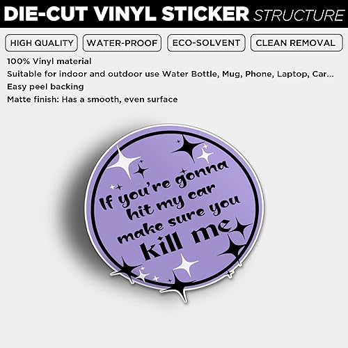 Miniatura 5 de YNhiCraft1921, If You Re Gonna Hit My Car Make Sure You Kill Me, calcomanía mate de corte beso, calcomanía para vaso, laptop, teléfonos, cascos