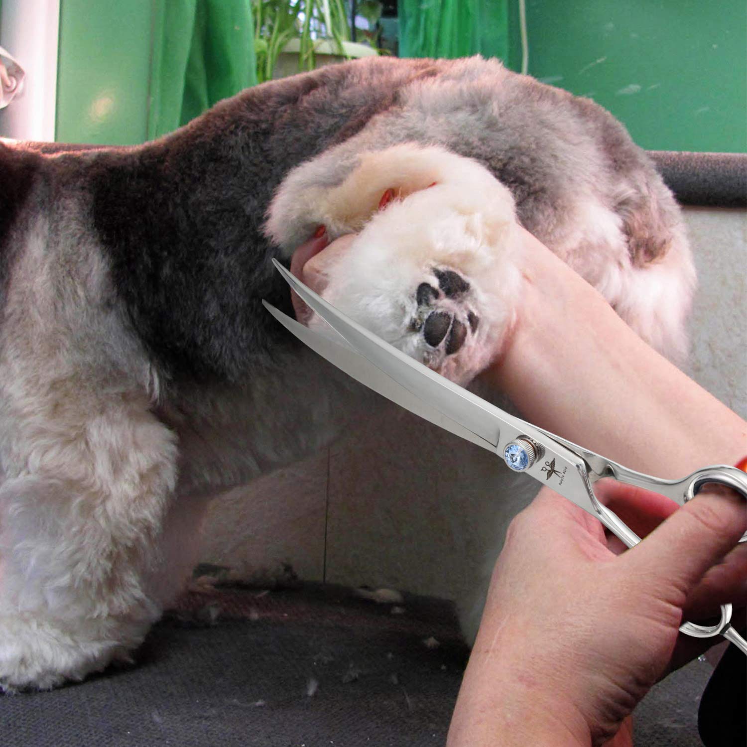 PURPLEBIRD Tijeras de aseo para perros curvadas para zurdos de 8 pulgadas tijeras profesionales de corte para mascotas de seguridad sin ruido, punta roma, para perros gatos, acero inoxidable japonés