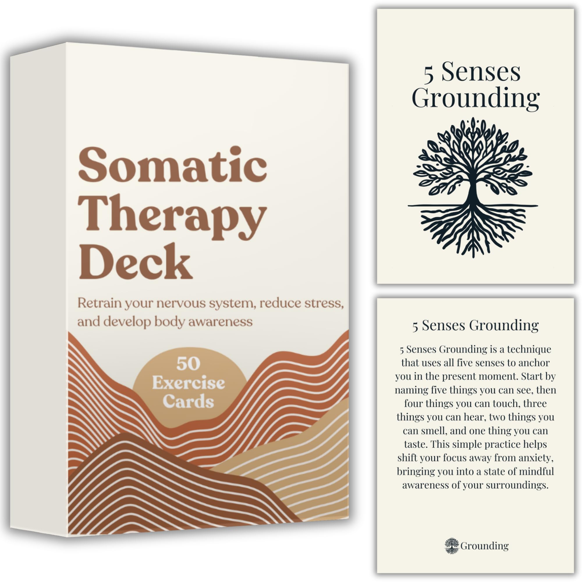 The Very Best of Somatic Sense Pt.1 希少レア Amazon.com: Somatic Therapy Cards with Exercises to Reset Your