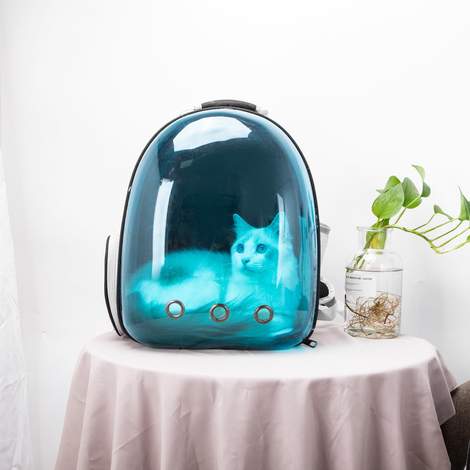 Nobleza-Mochila para Perros, Mochila Gato Transparente, Mochila Expansible Aprobada por Las Aerolíneas para Perros Pequeños, para Paseos, Senderismo o Camping