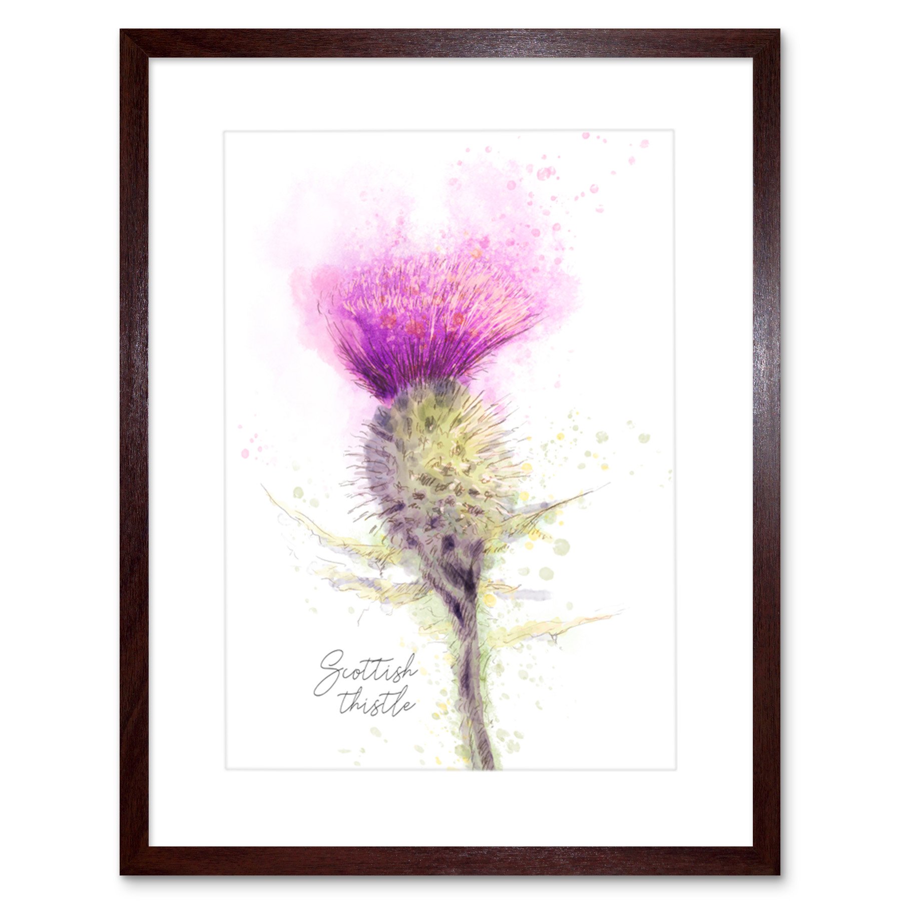 Scottish Thistle Flower Head Watercolour Art Print - Artery8 - W7 inch x H9 inch - Brown