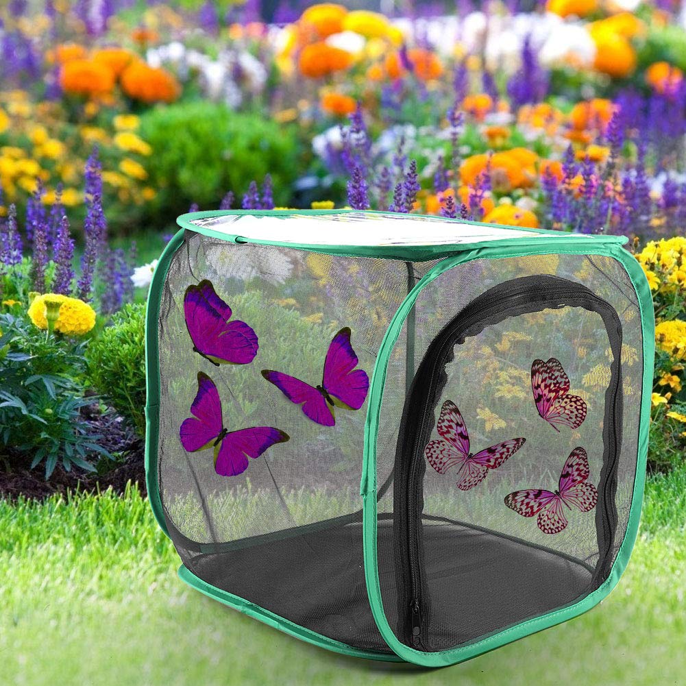 Cage à Papillons HERCHR - Habitat Pliable Transportable Pour Observation Insectes