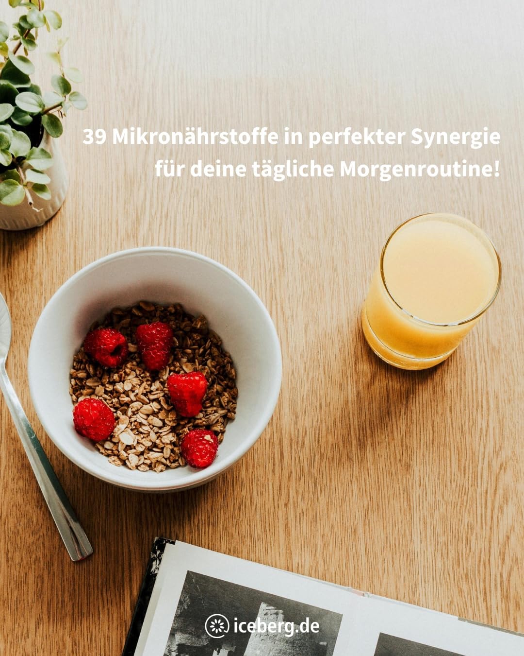 VitalComplex Premium – 39 Mikronährstoffe, All-in-One für jeden Tag | Mit B-Vitamin-Komplex, Mineralstoffen, Spurenelementen, Aminosäuren, Omega-3 & Pflanzenstoffen – für Alltag & Longevity