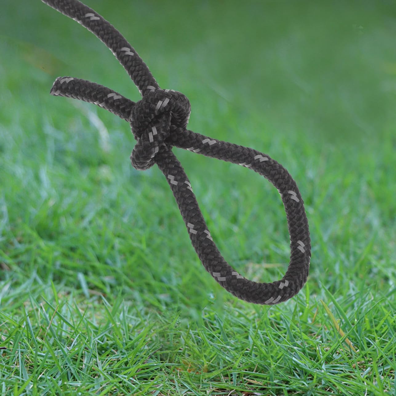 8pcs Windproof Tent Ropes Camping Cord Reflective High Strength Hauling Lines for Tarp Tent Tie Downs Mountaineering Gear