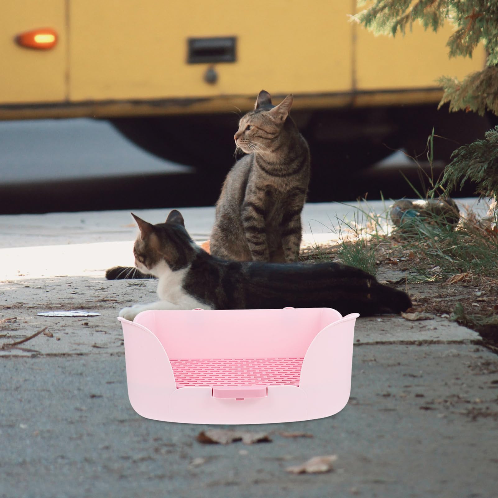 Happyyami Lettiera per Piccoli Animali WC per Conigli e Cavia Box per Rifiuti Facile da Pulire Design Rete Adatto per Coniglietti Cani e Criceti